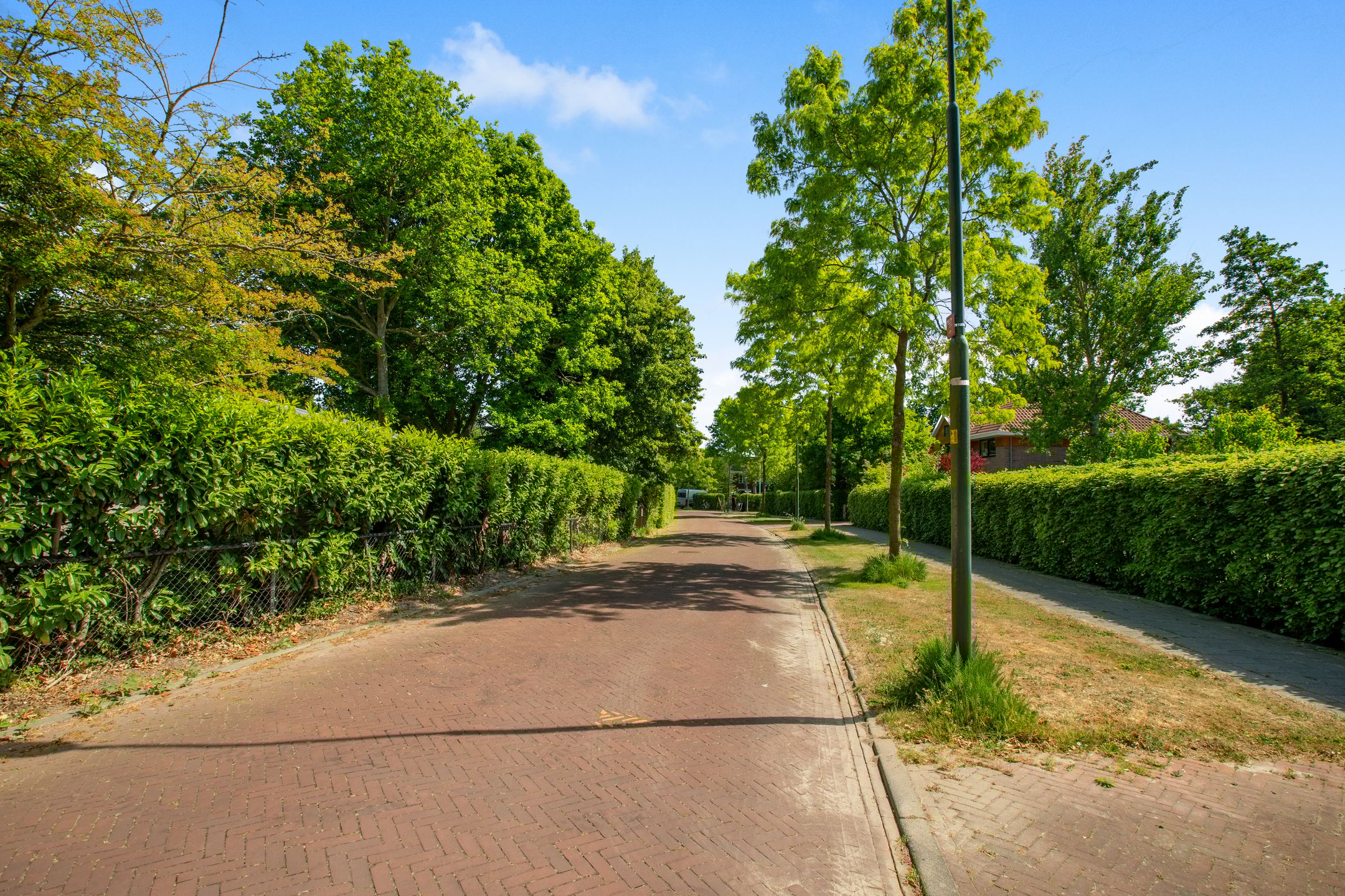 Photo 72 of Oosterboslaan 38