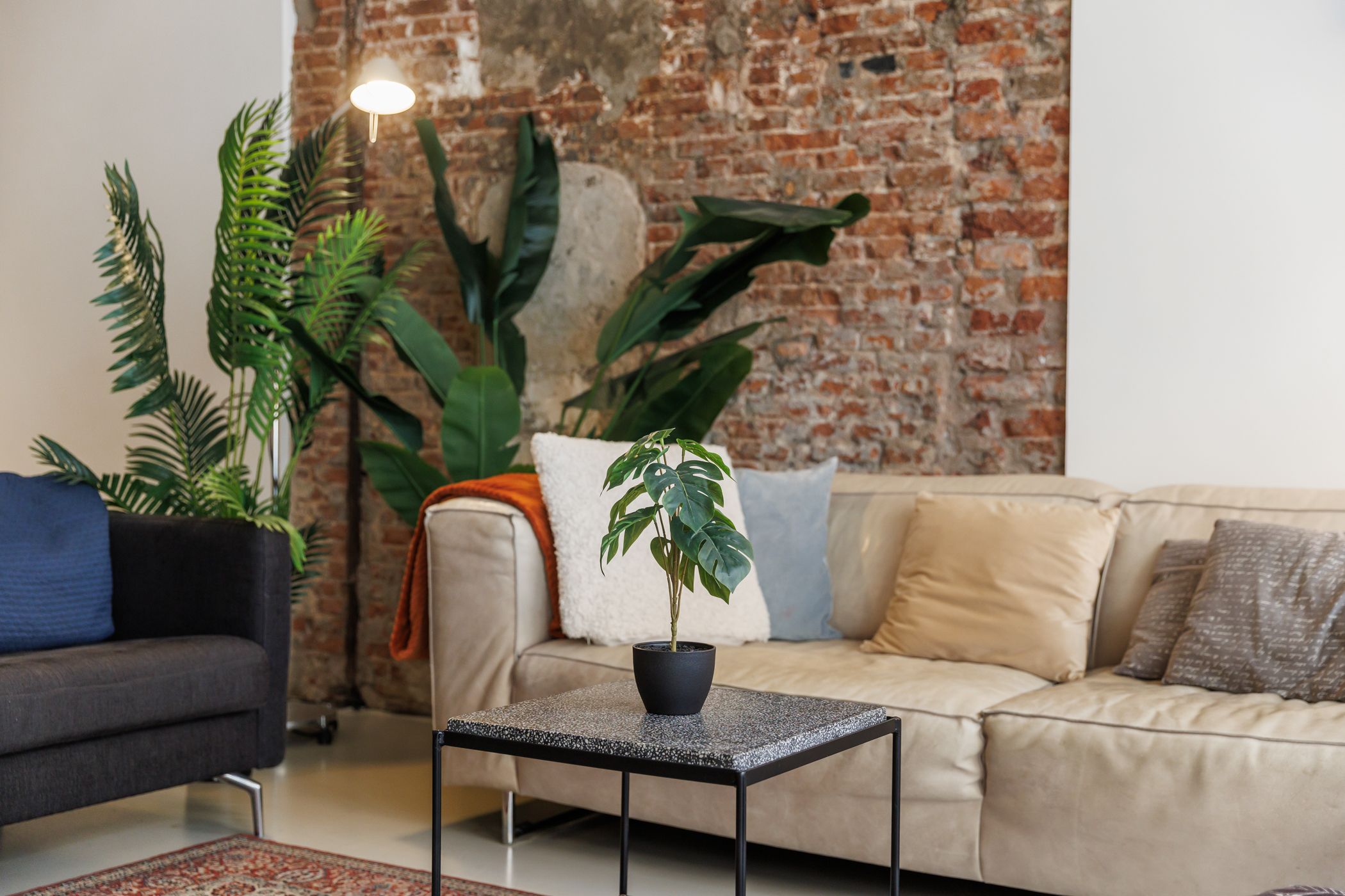 Foto 15 van Predikherenstraat 15