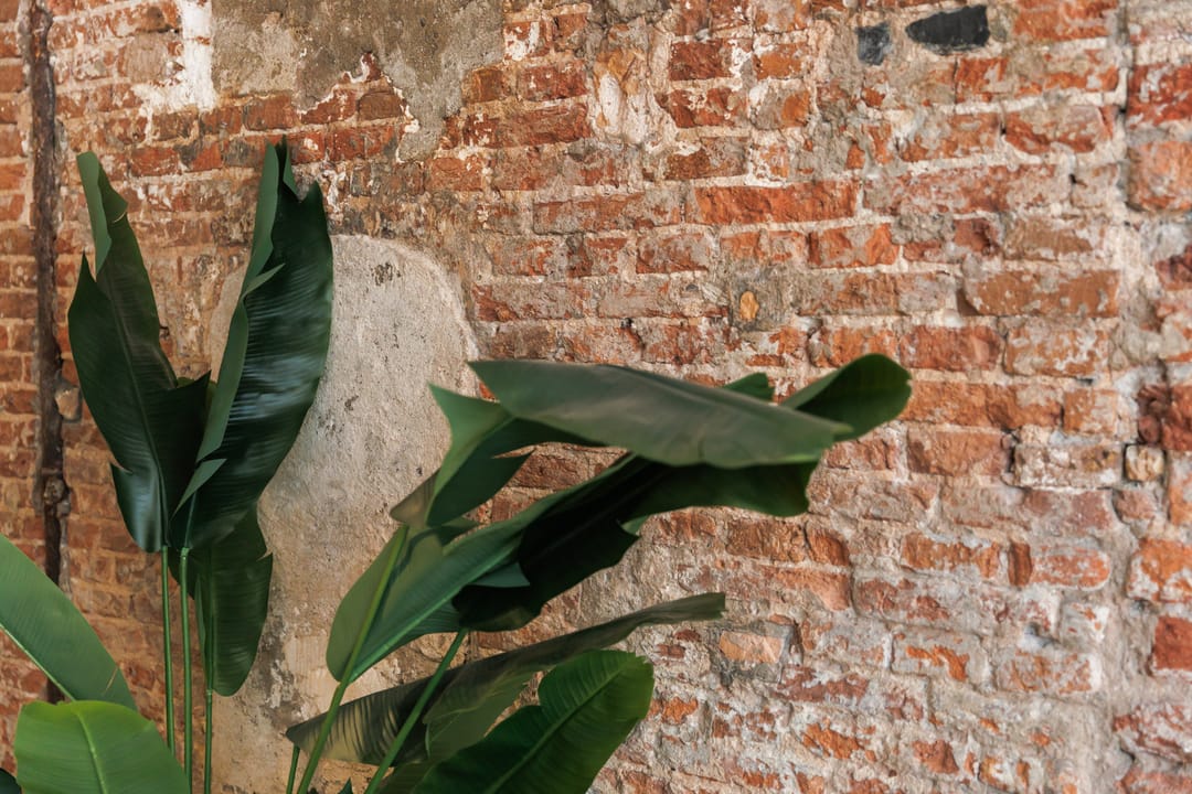 Foto 17 van Predikherenstraat 15