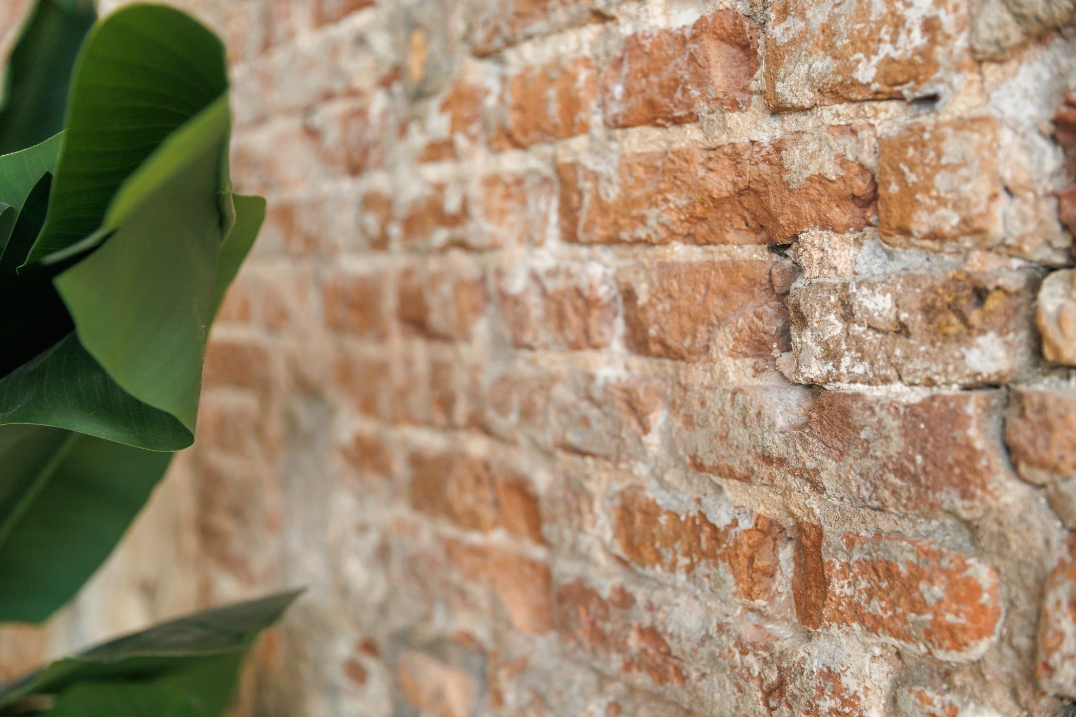 Foto 18 van Predikherenstraat 15