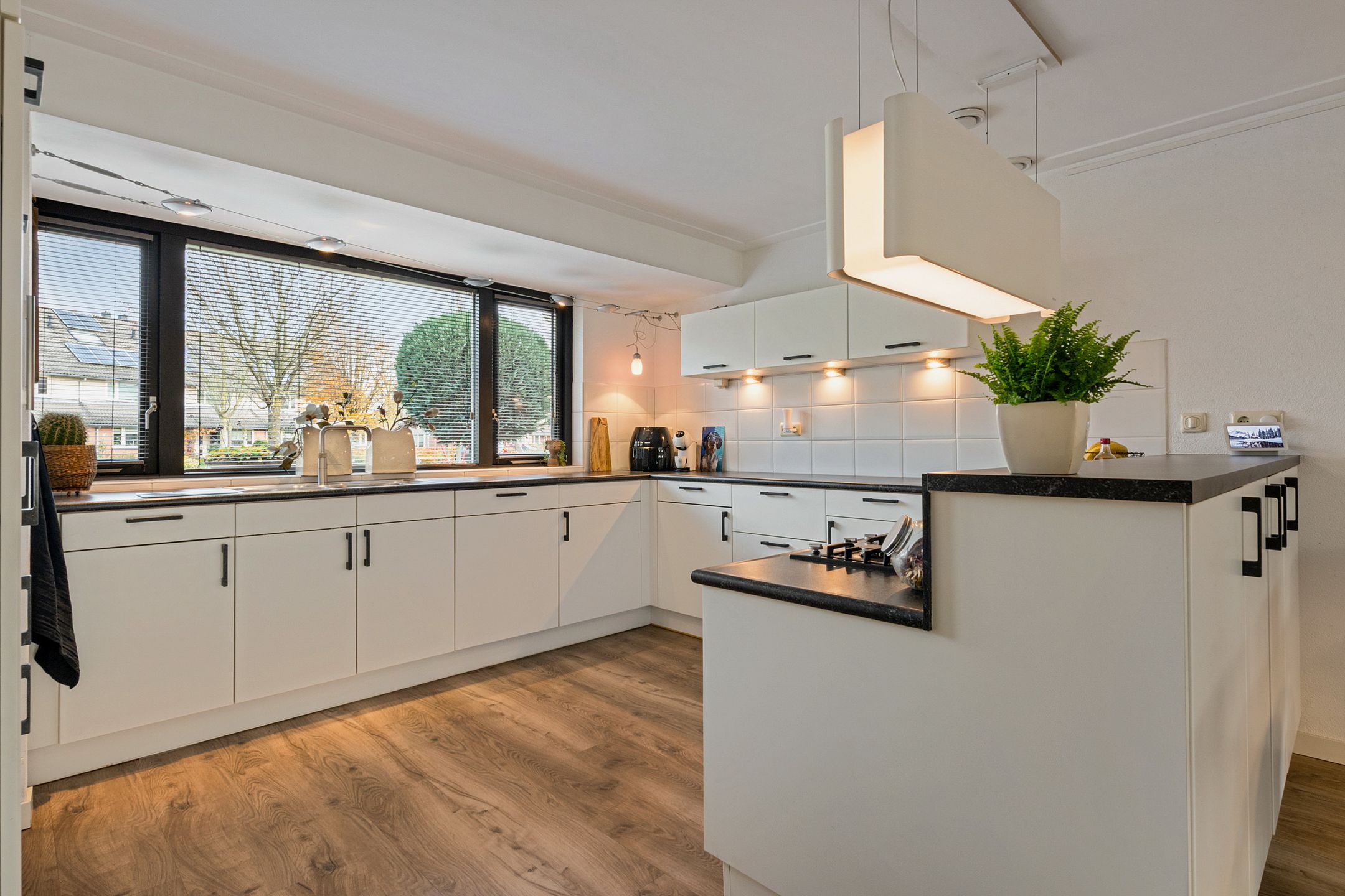 Foto 3 van Zwanebloem 3