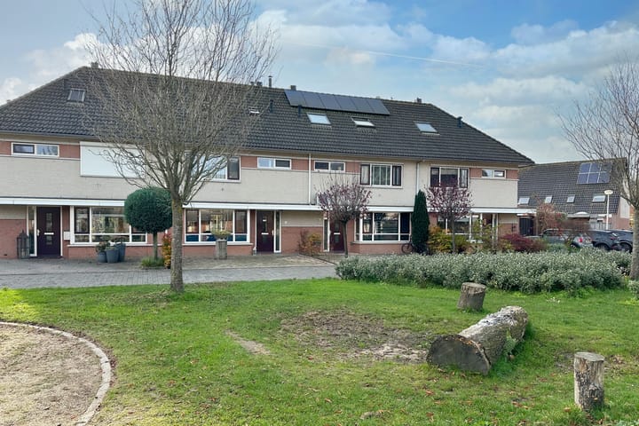 Photo 6 of Zwanebloem 3