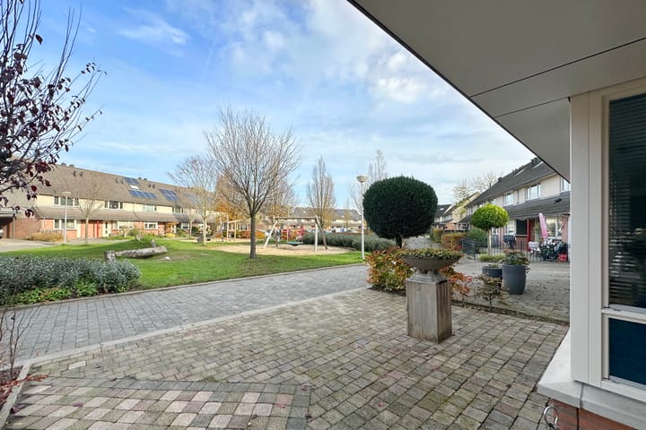 Photo 7 of Zwanebloem 3