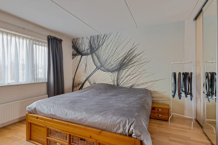 Photo 20 of Zwanebloem 3