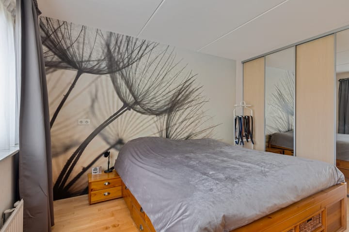 Photo 21 of Zwanebloem 3