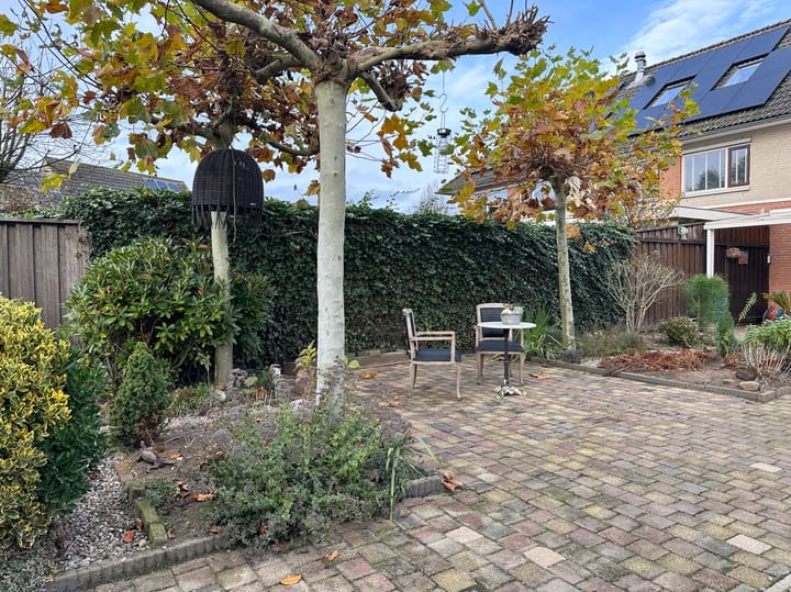 Photo 31 of Zwanebloem 3