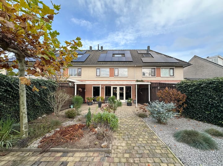 Photo 32 of Zwanebloem 3