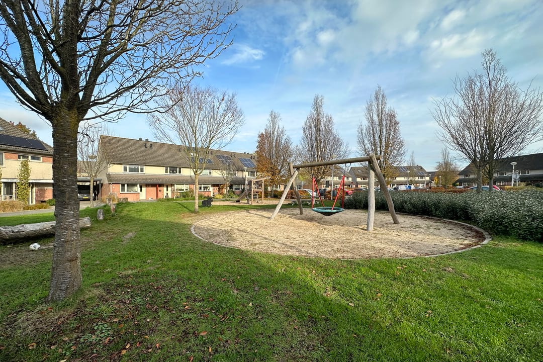 Foto 37 van Zwanebloem 3