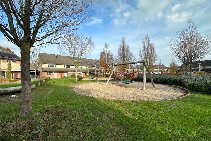 Photo 37 of Zwanebloem 3