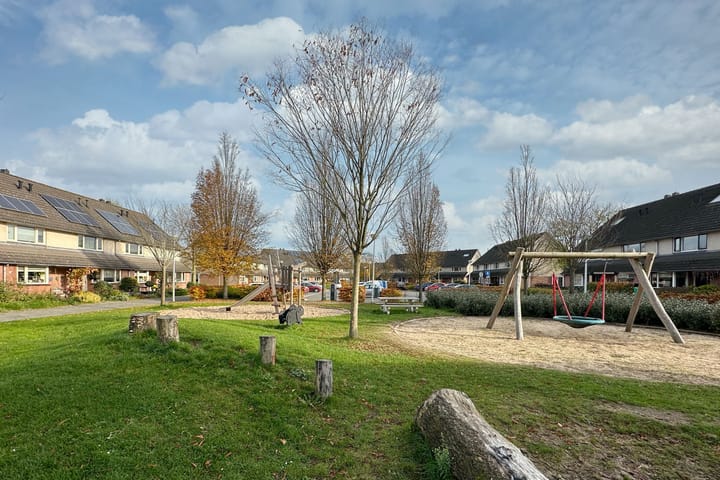 Photo 38 of Zwanebloem 3