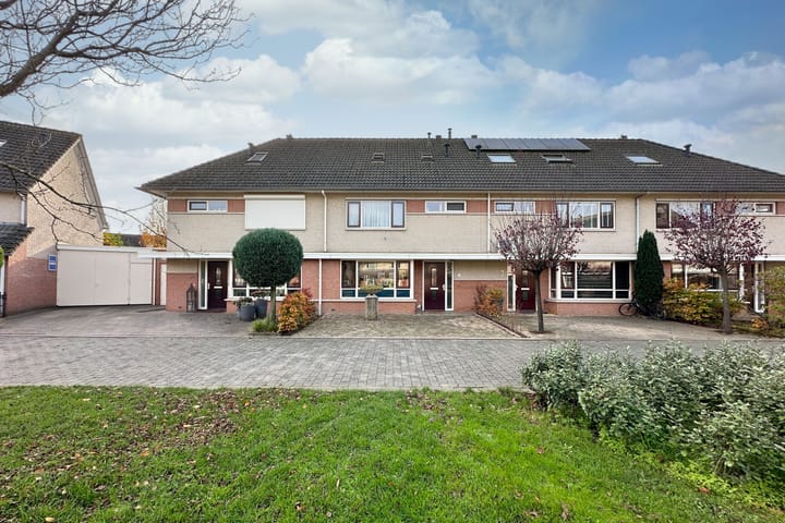 Photo 39 of Zwanebloem 3