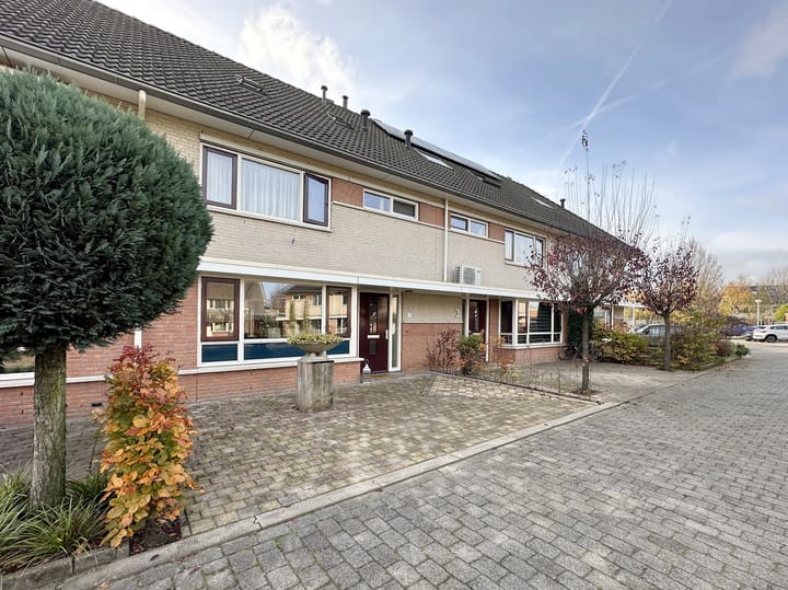 Photo 40 of Zwanebloem 3