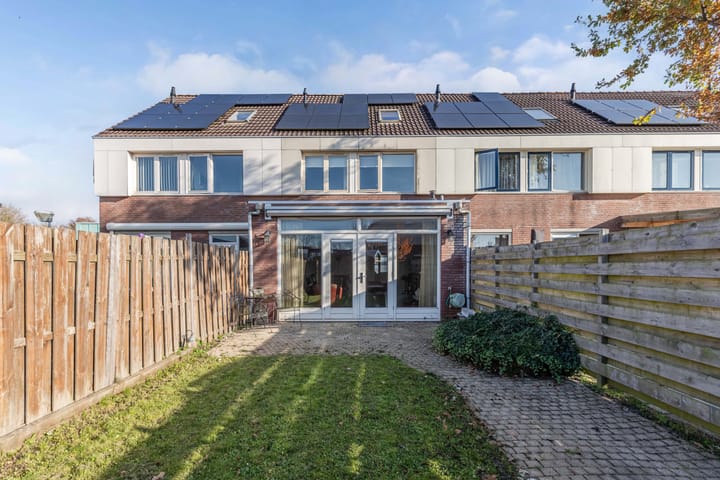 Photo 3 of Punter 20 41