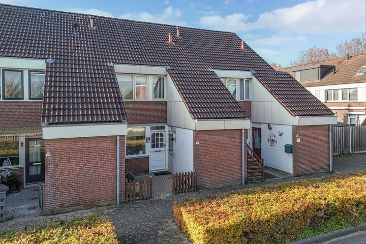 Photo 5 of Punter 20 41