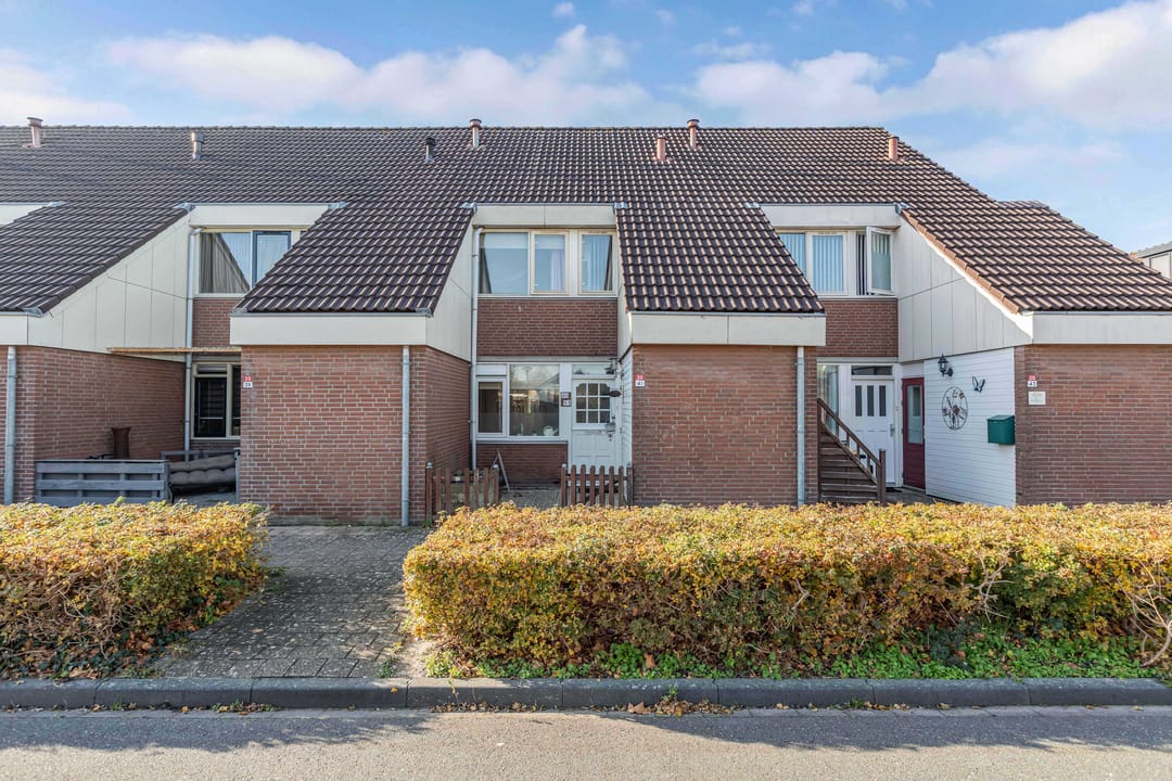 Photo 7 of Punter 20 41