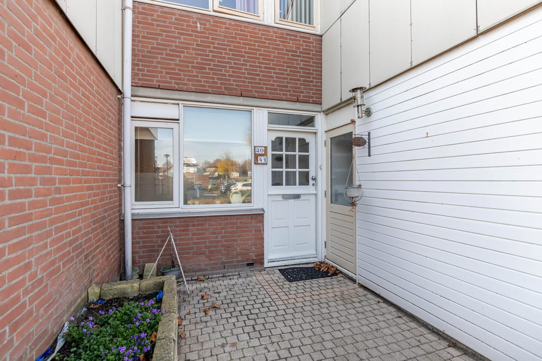 Photo 8 of Punter 20 41