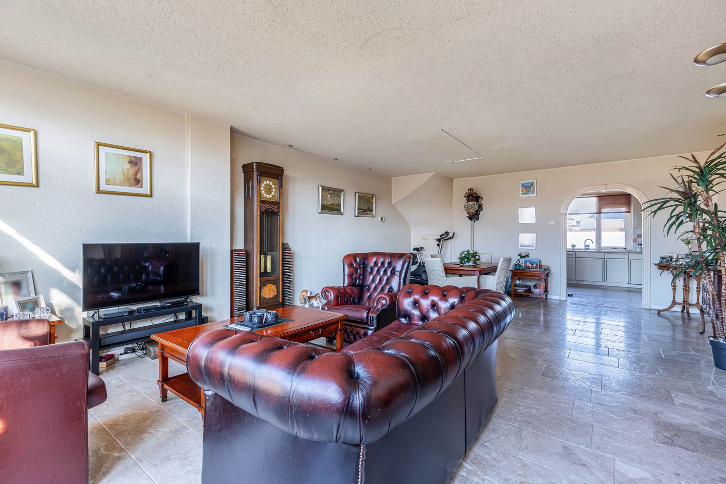 Photo 14 of Punter 20 41