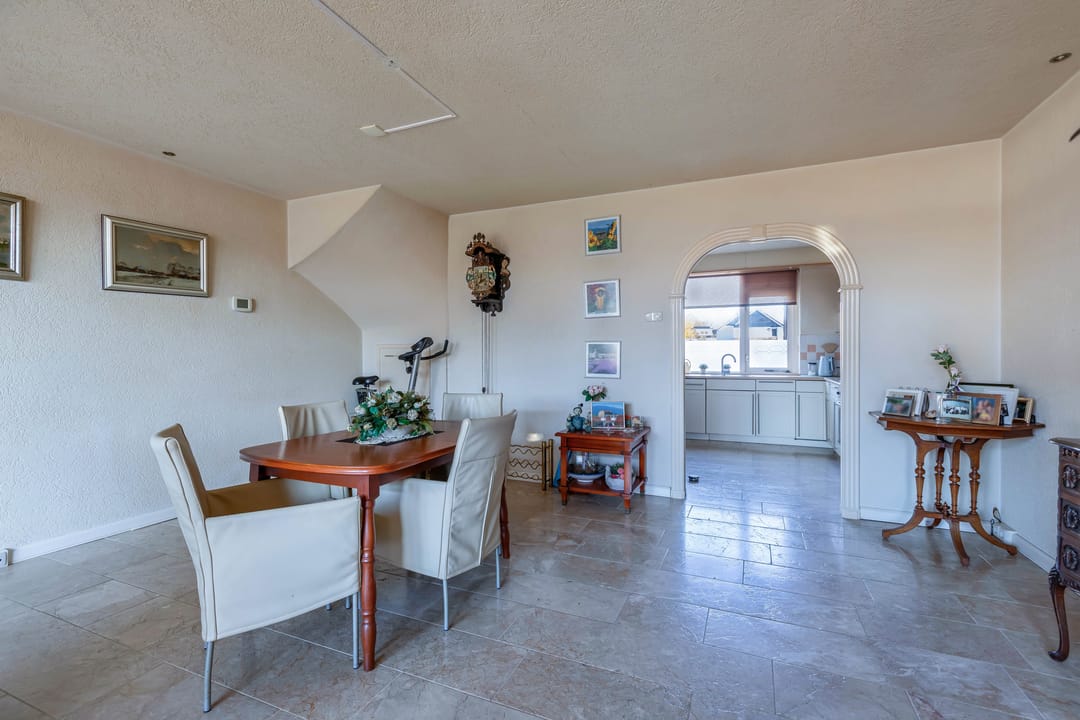 Photo 16 of Punter 20 41