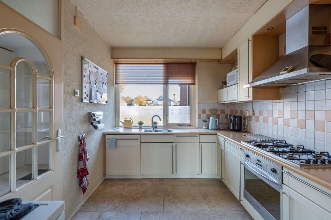 Photo 17 of Punter 20 41