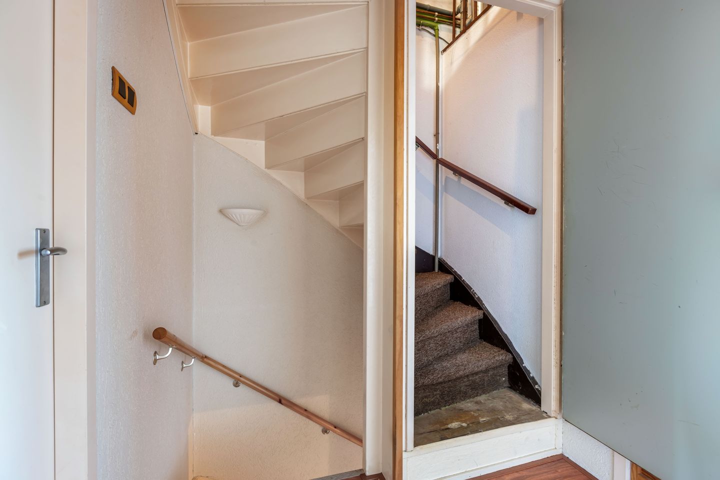 Photo 25 of Punter 20 41