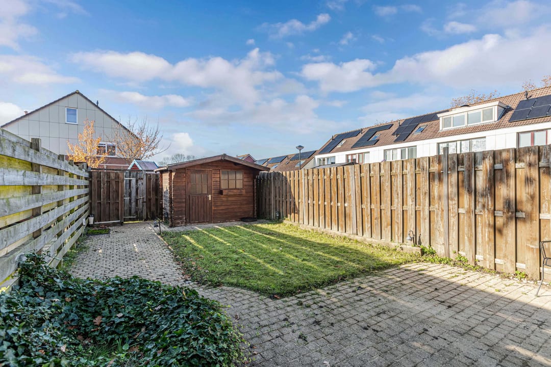 Photo 32 of Punter 20 41