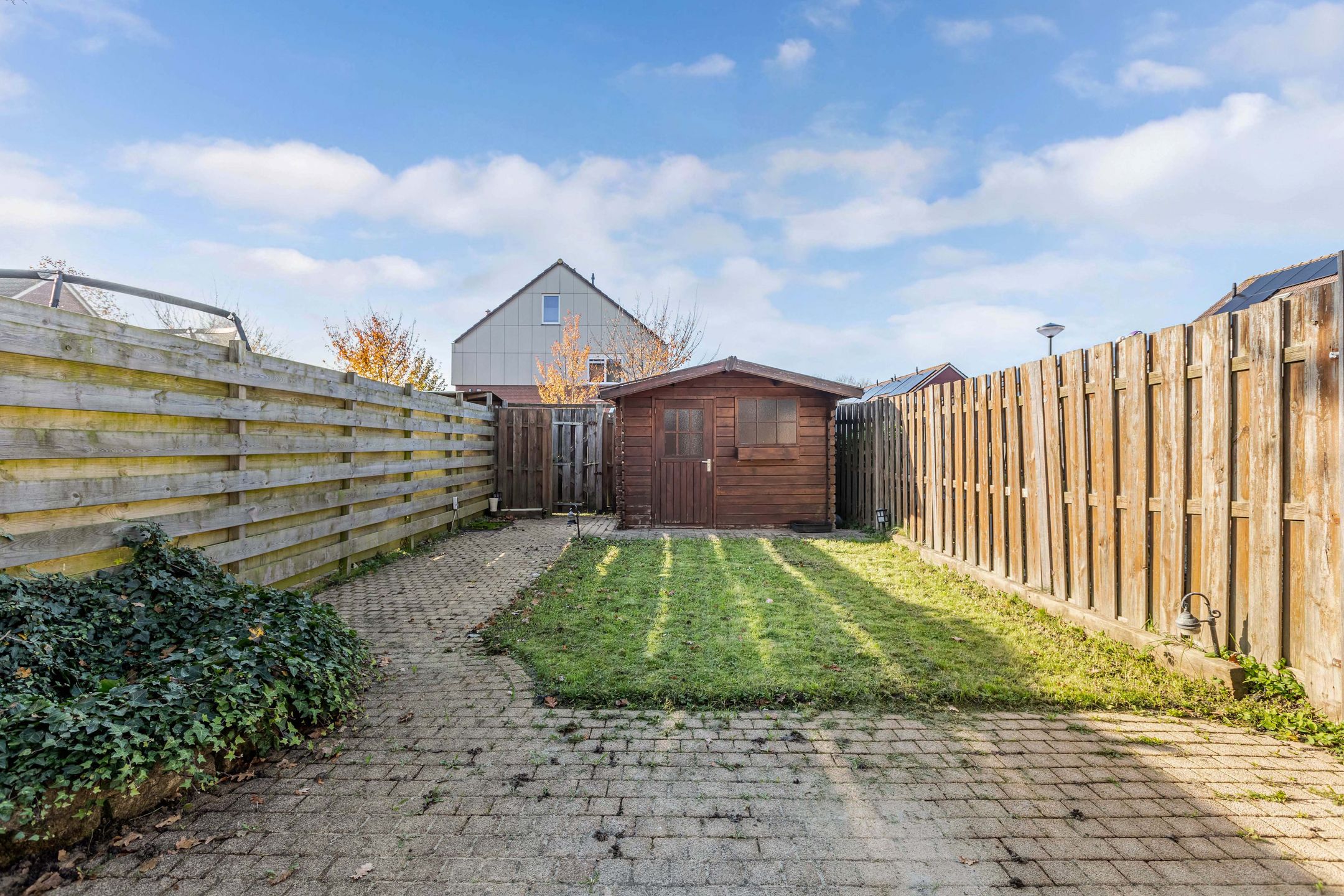 Photo 33 of Punter 20 41