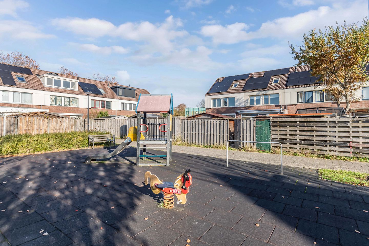 Photo 35 of Punter 20 41