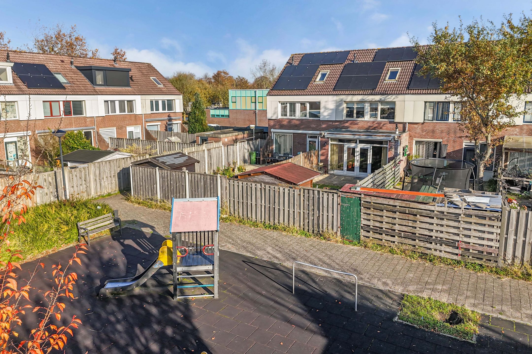 Photo 36 of Punter 20 41