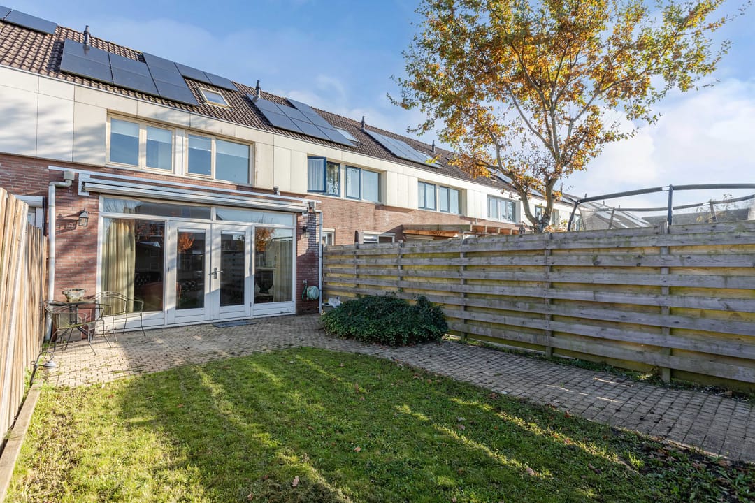 Photo 31 of Punter 20 41