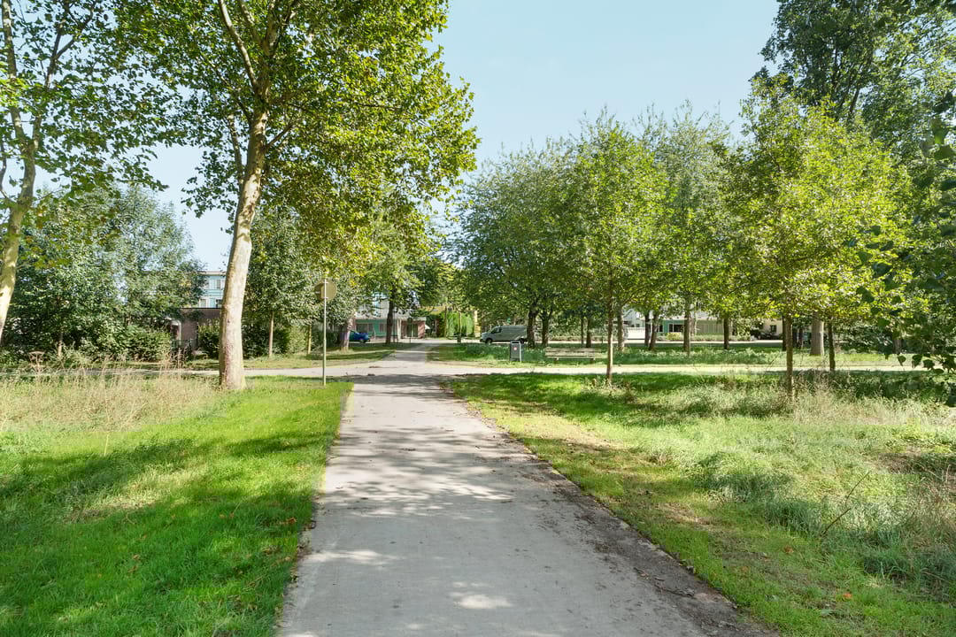 Foto 71 van Paletlaan 65