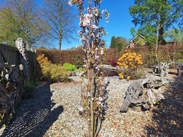 Foto 41 van Brinkslaan 5