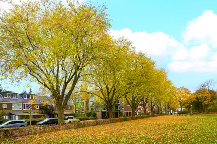 Foto 44 van Saffierlaan 55-A