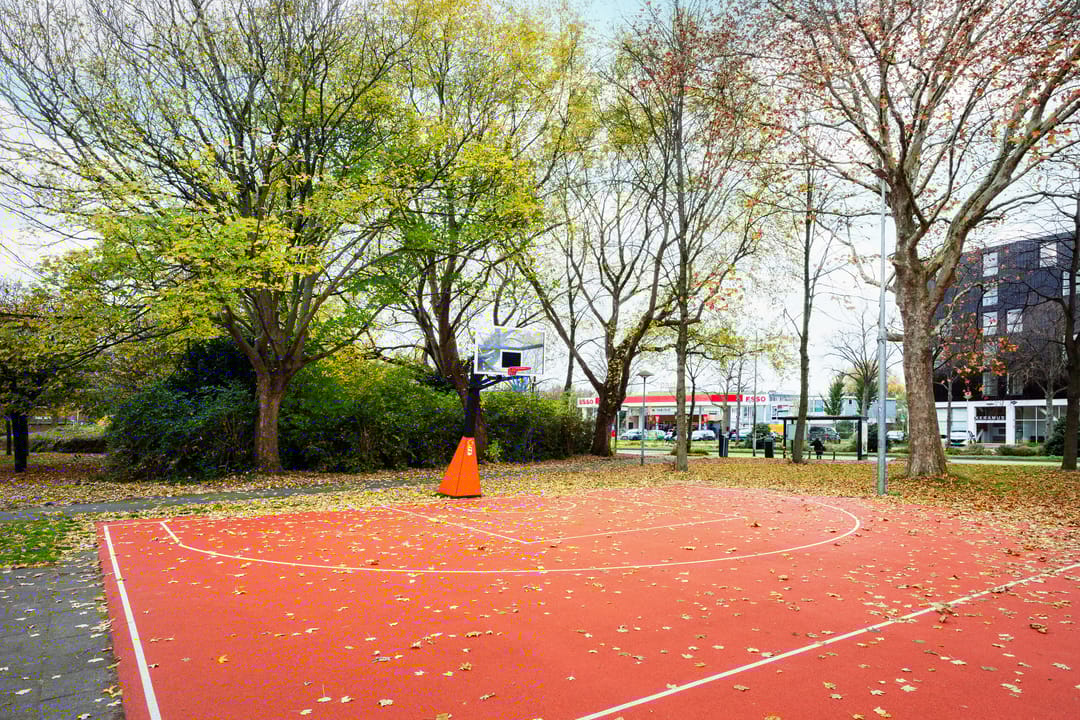 Foto 47 van Saffierlaan 55-A