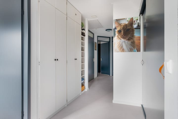 Photo 30 of Turfdyk 10-A