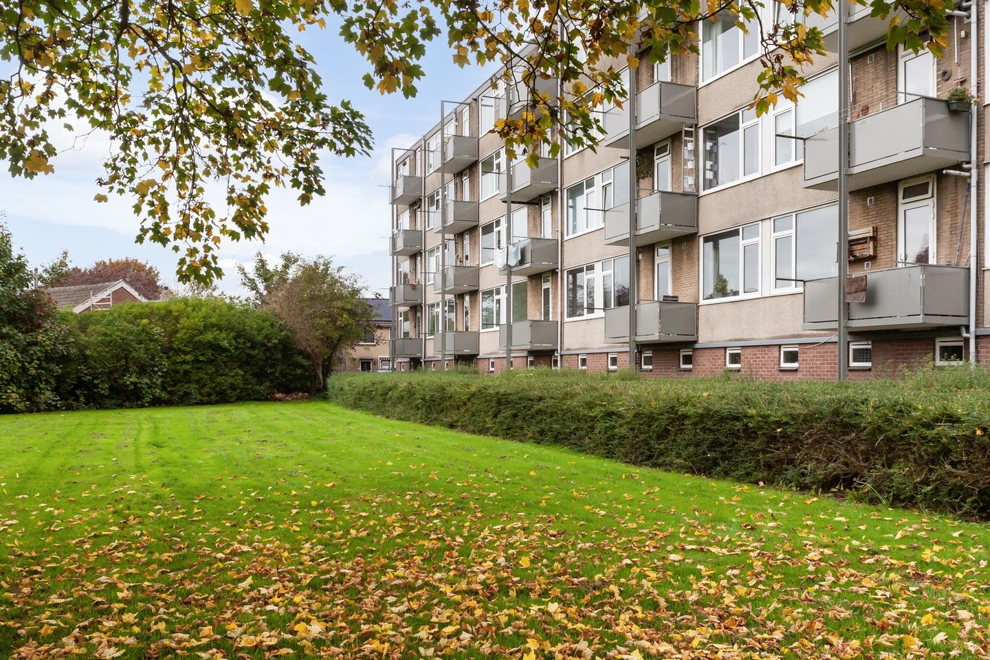 Foto 1 van Nicolaas Maesstraat 24