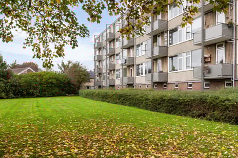 Nicolaas Maesstraat thumbnail