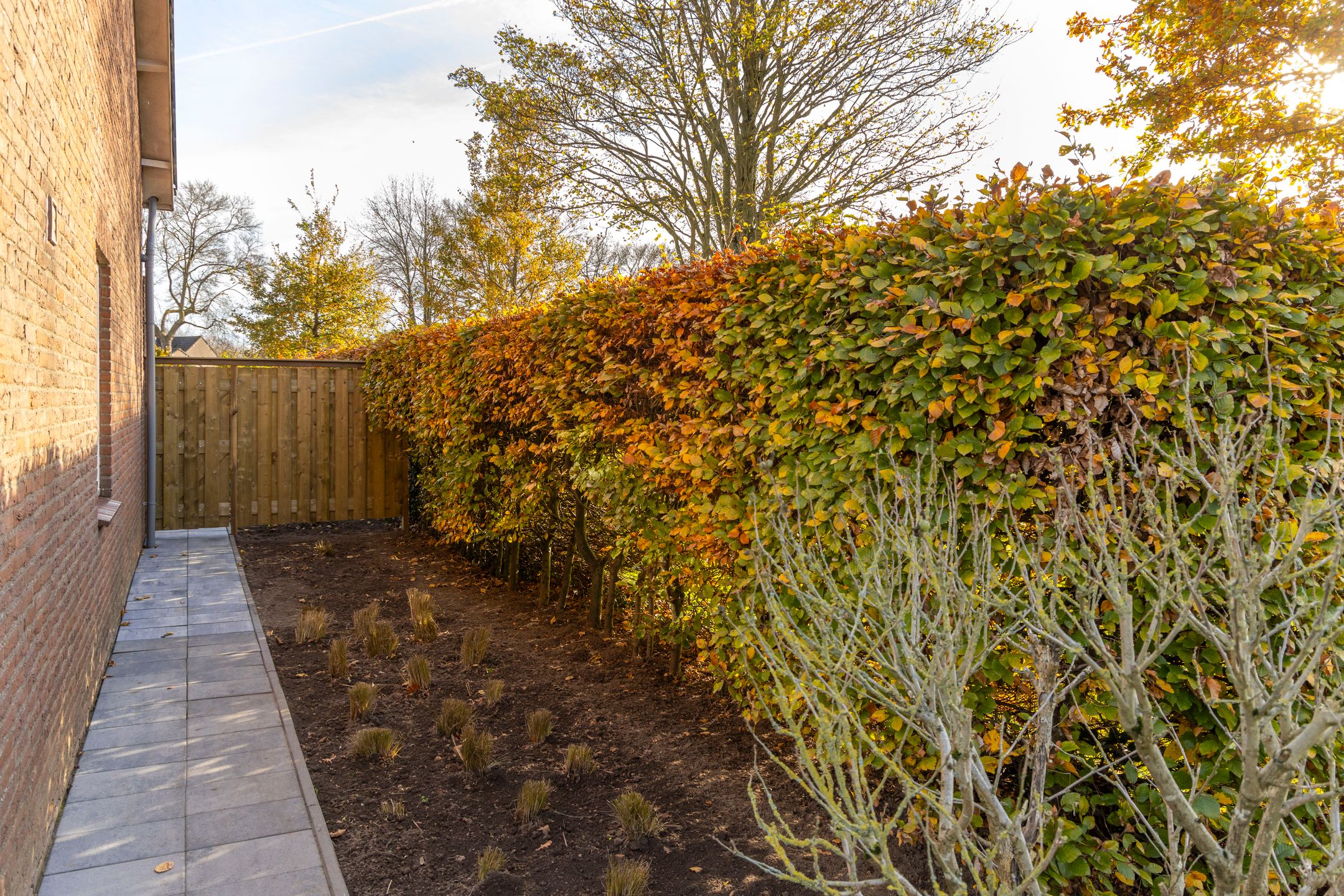 Foto 12 van Akkerwinde 6