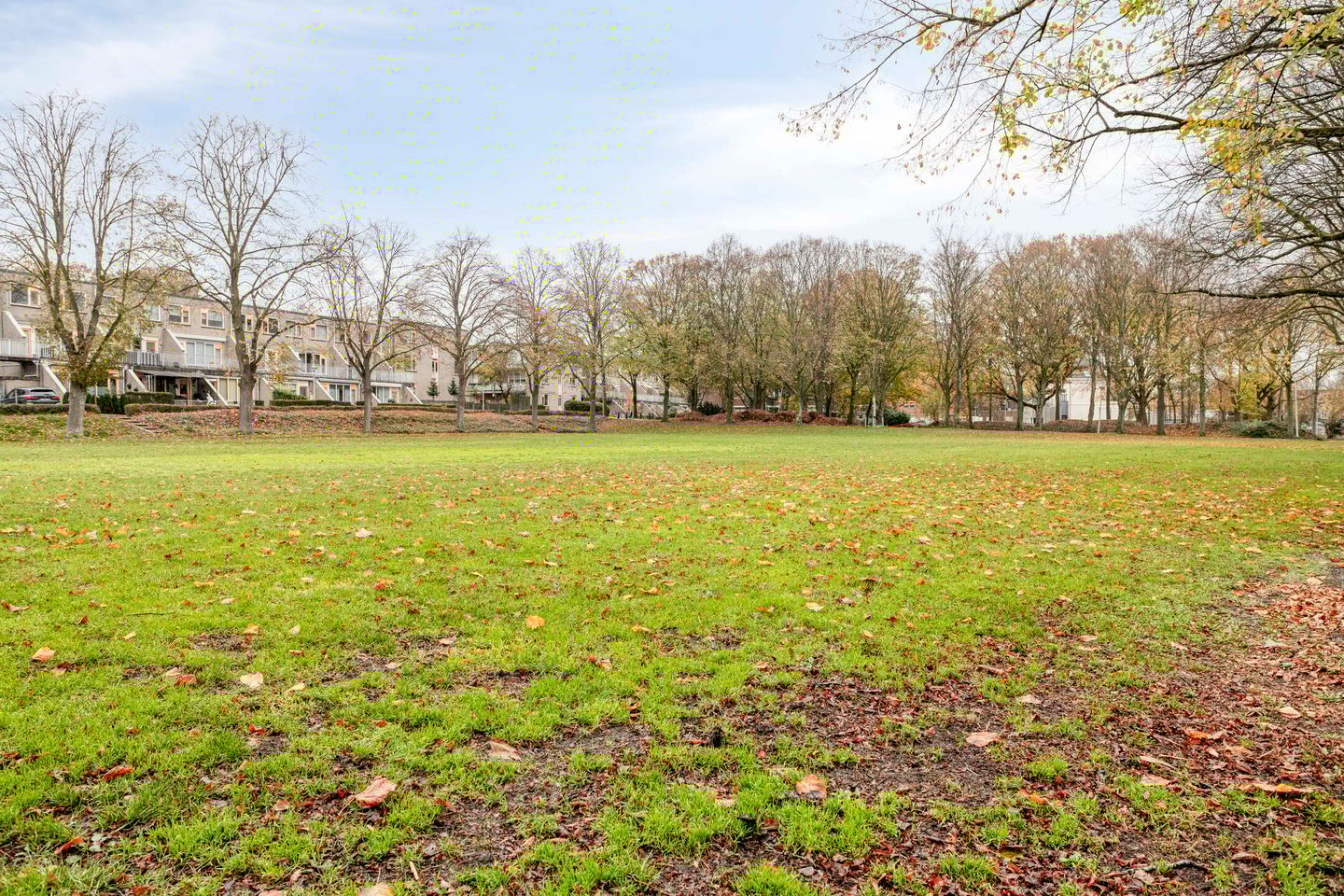 Foto 34 van Artilleriestraat 49