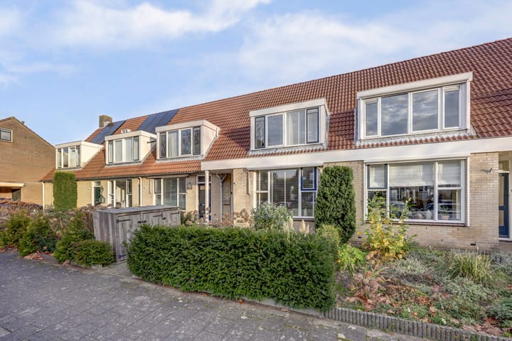 Photo 5 of Walstein 14