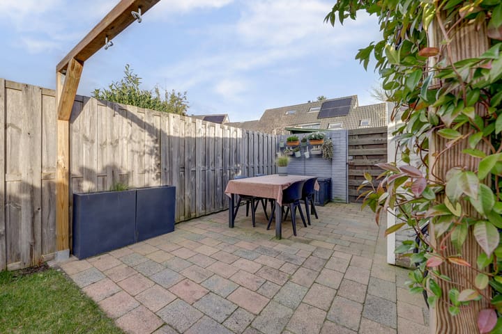 Photo 31 of Walstein 14