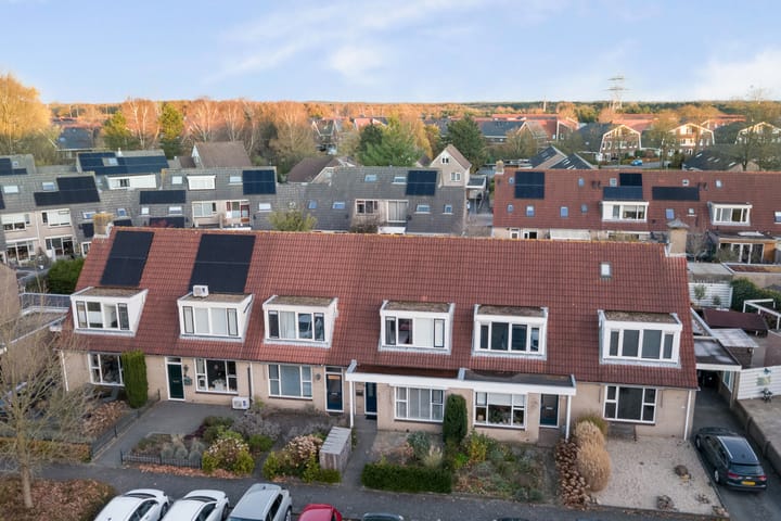 Photo 33 of Walstein 14