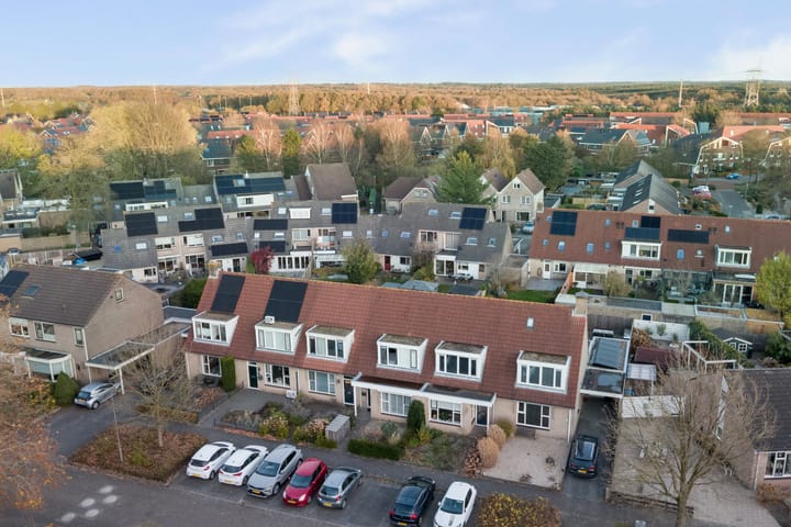 Photo 34 of Walstein 14