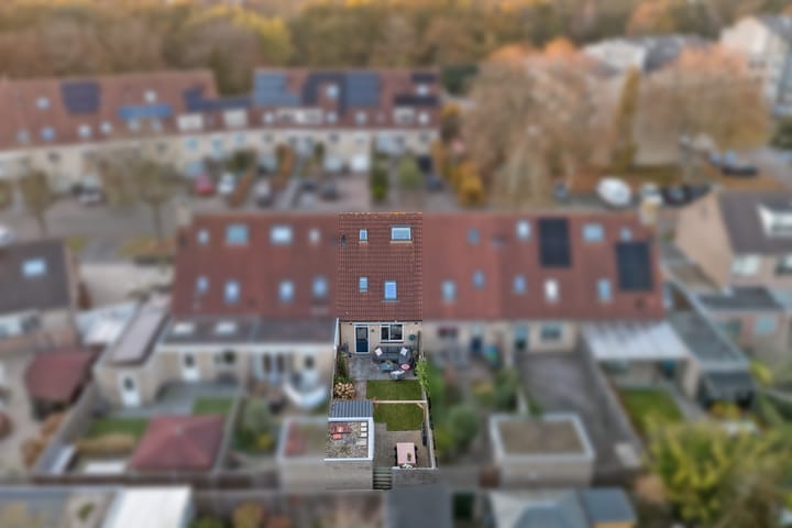 Photo 35 of Walstein 14