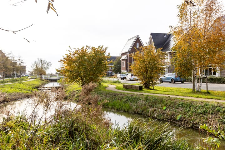 Photo 80 of Scheygrondplantsoen 11