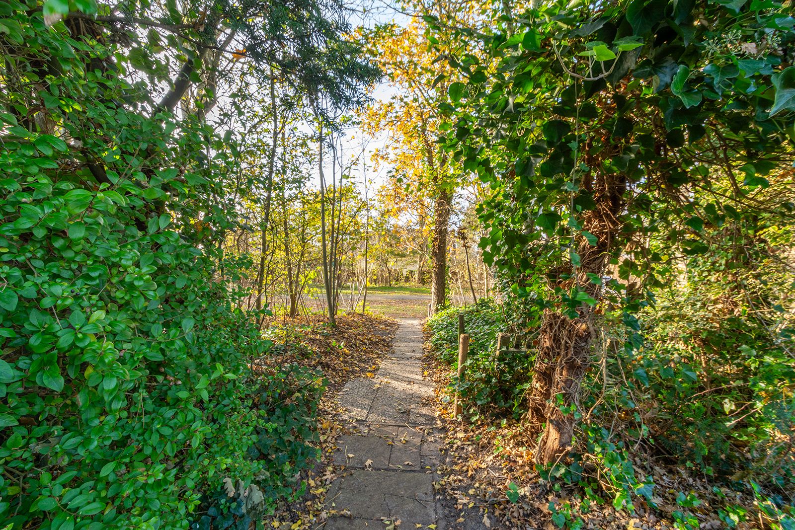 Photo 18 of Westerduinweg 34-H127