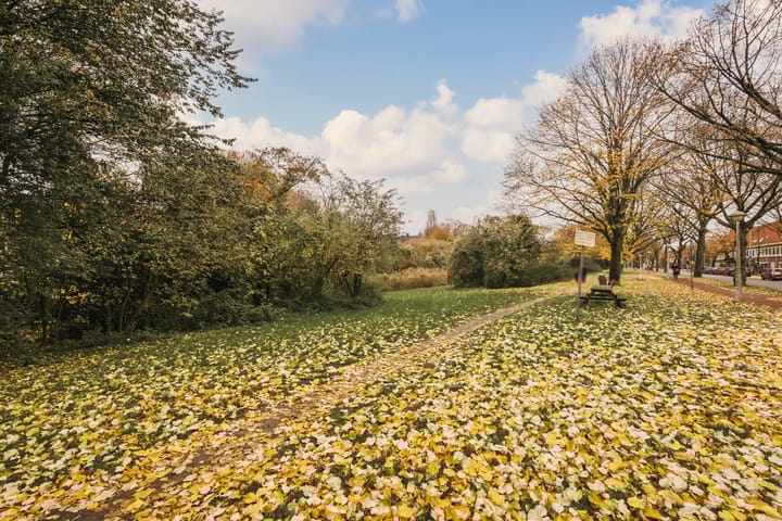 Photo 42 of Linnaeusparkweg 146-H