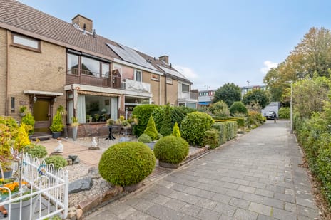 undefined main image