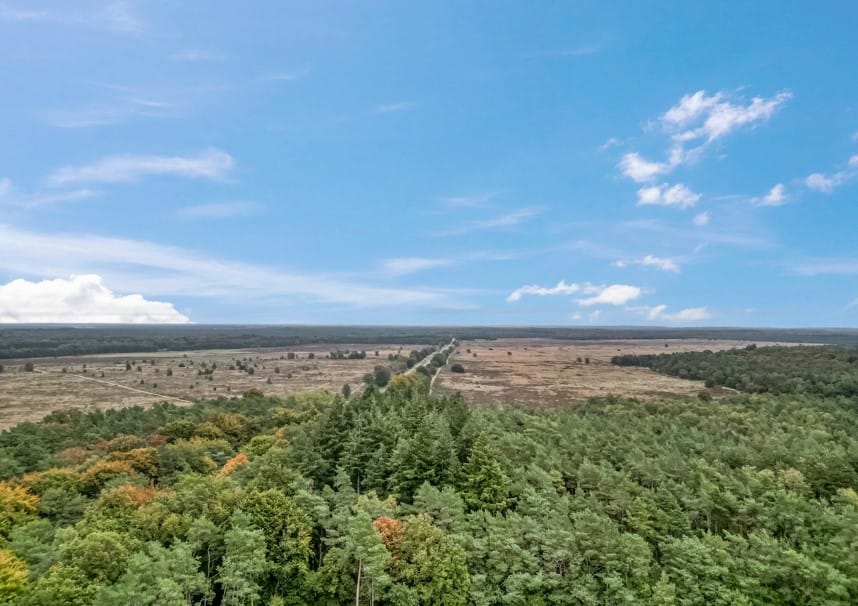 Foto 23 van Kruisbeshof 14