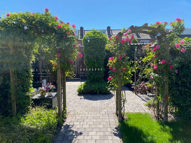 Foto 36 van Trompetstraat 7