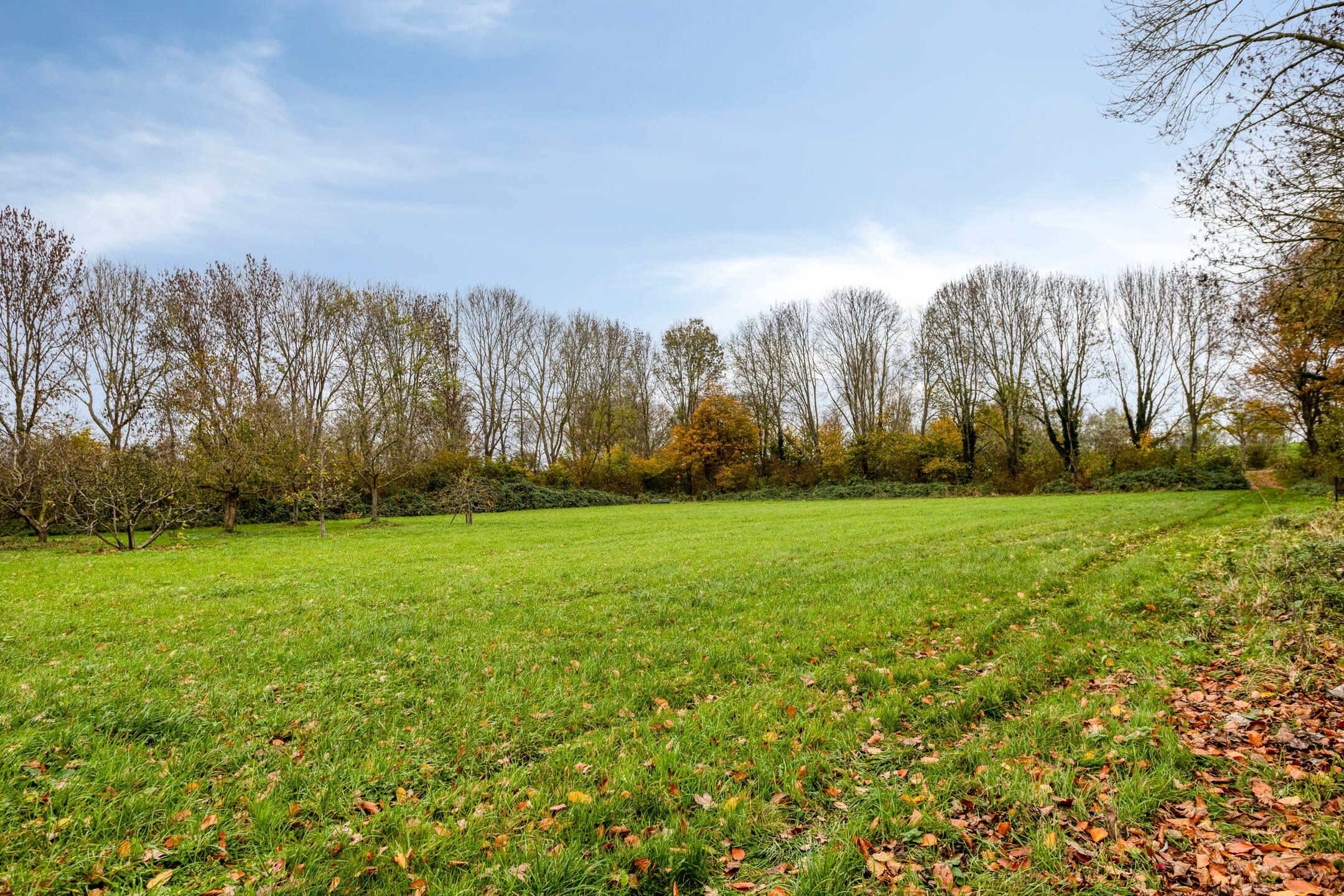 Foto 33 van Kuipershoek 12